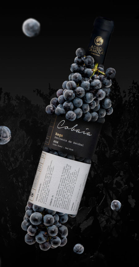 Cobaia – Adega Camolas
