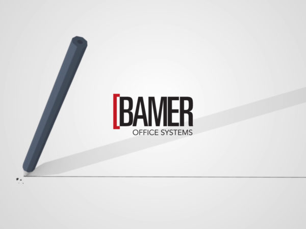 Bamer Institucional